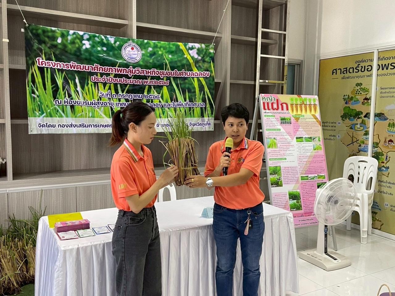 ภาพประกอบที่ 1