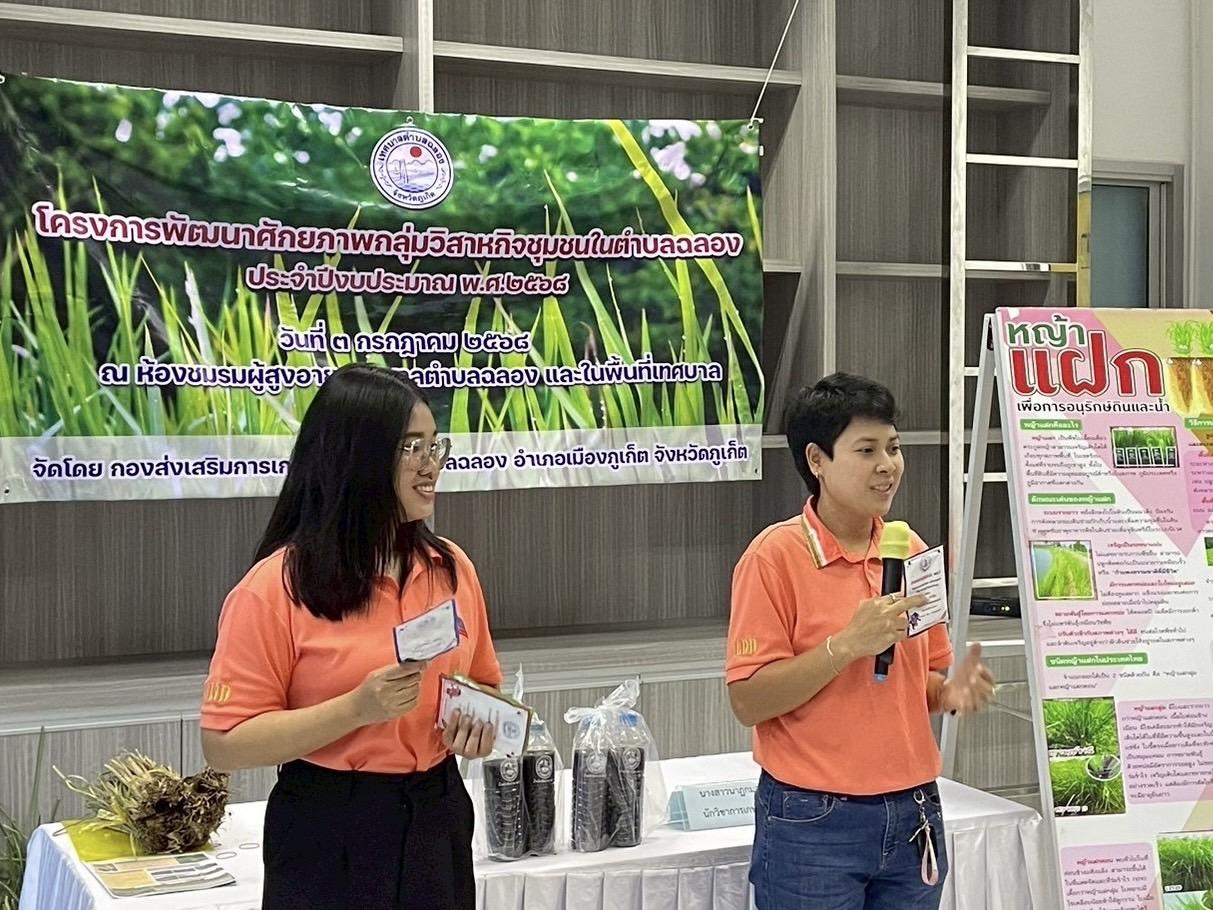 ภาพประกอบที่ 5