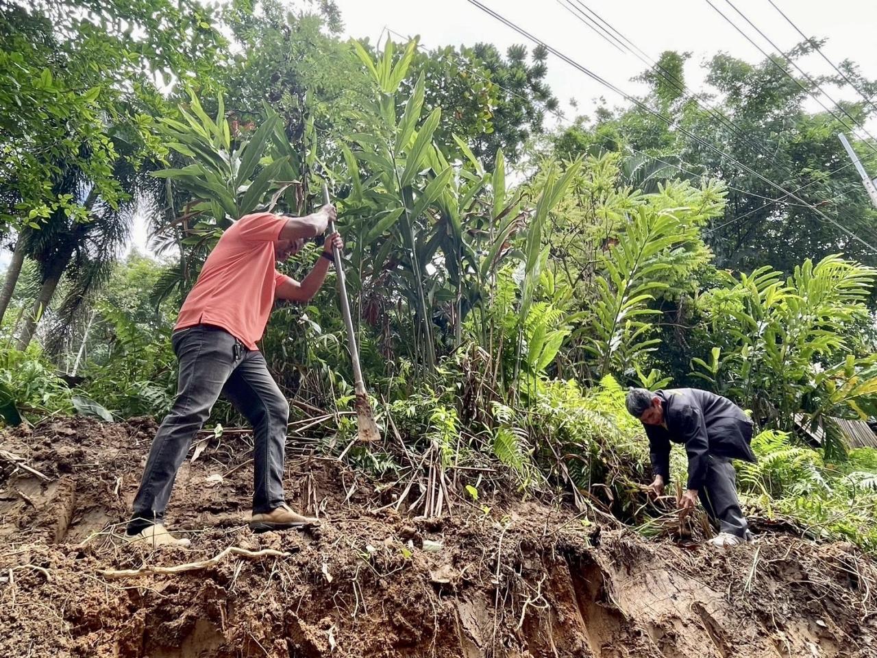 ภาพประกอบที่ 11