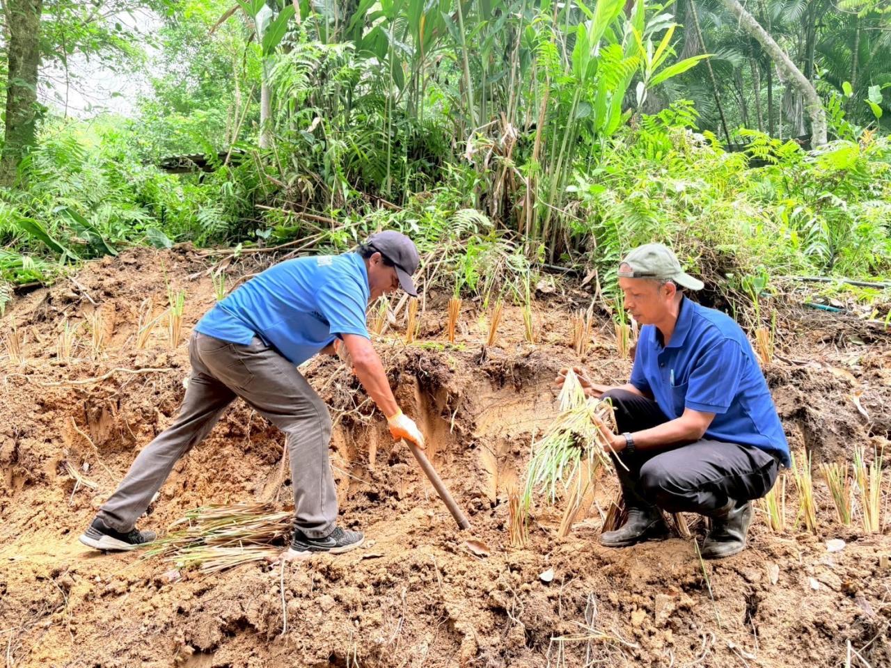 ภาพประกอบที่ 16