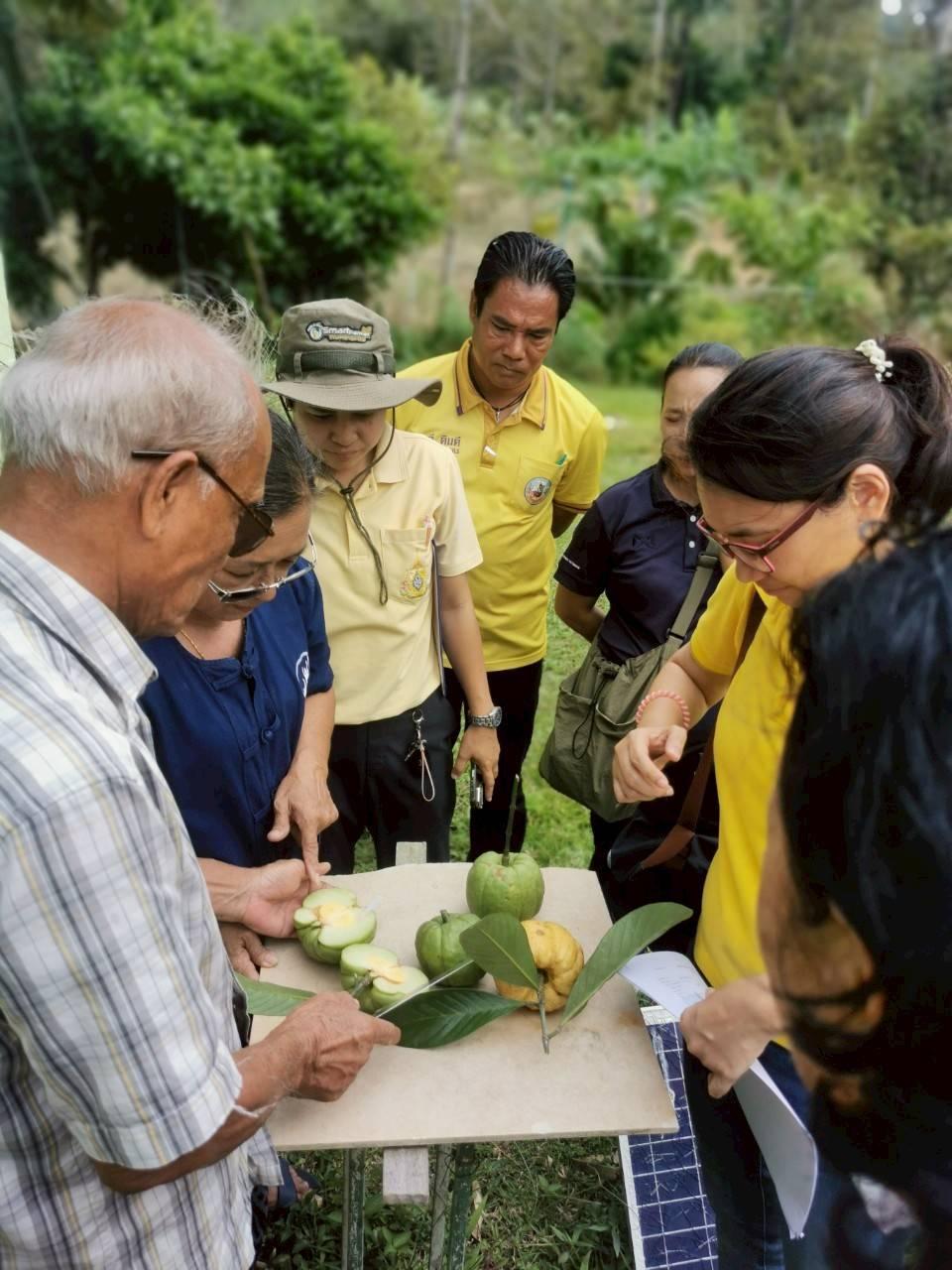 ภาพประกอบที่ 0