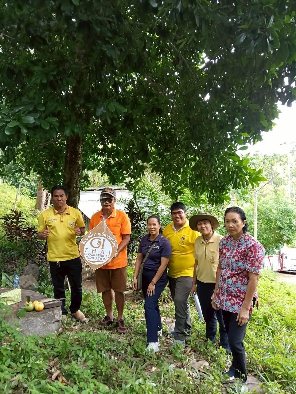 ภาพประกอบที่ 1