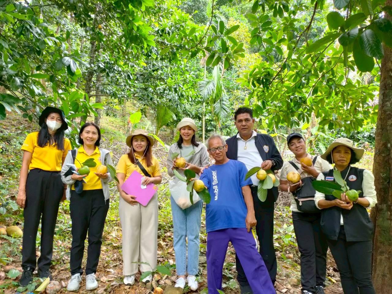 ภาพประกอบที่ 4