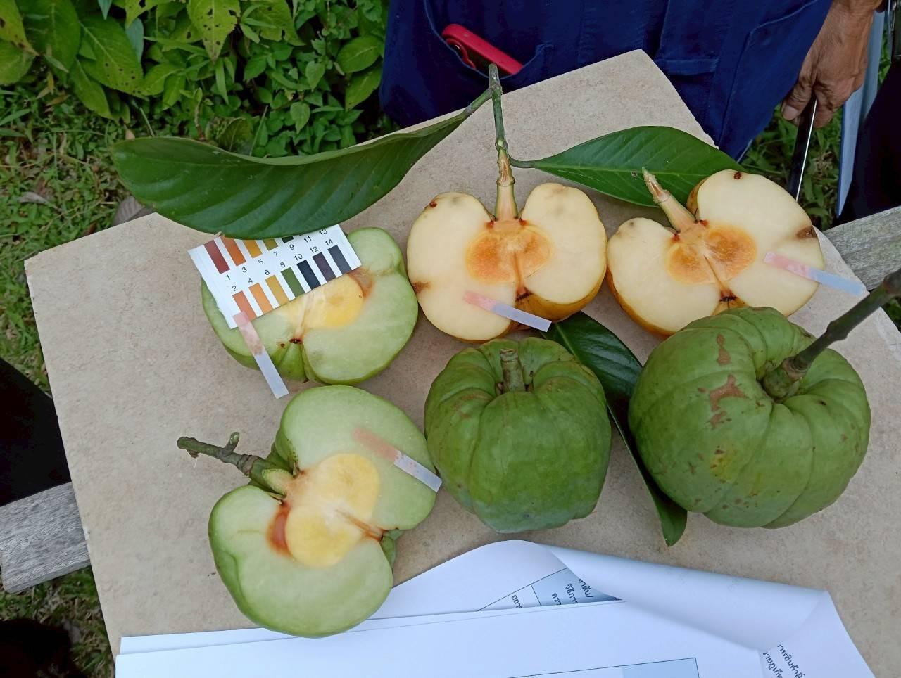 ภาพประกอบที่ 6