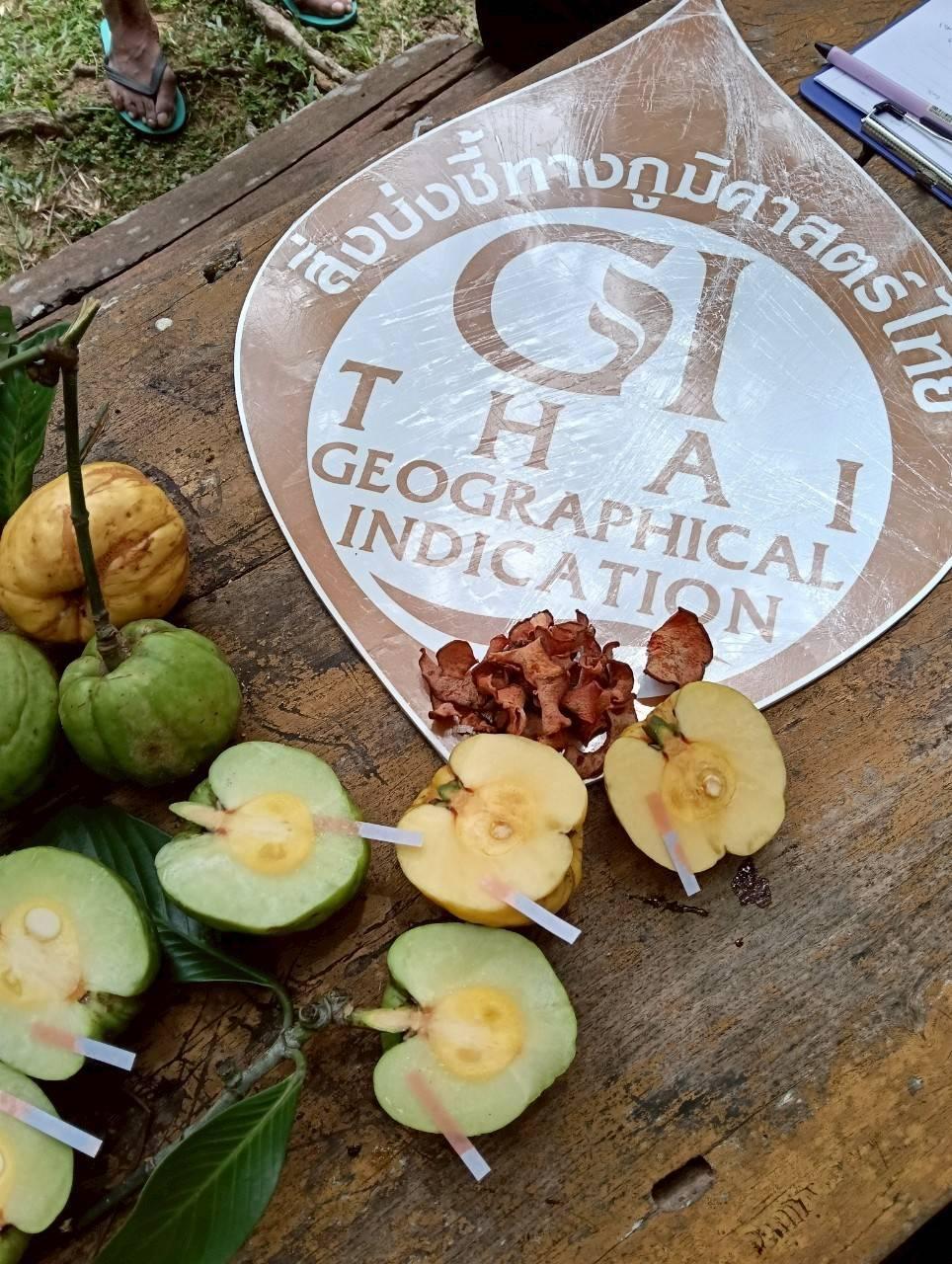 ภาพประกอบที่ 7