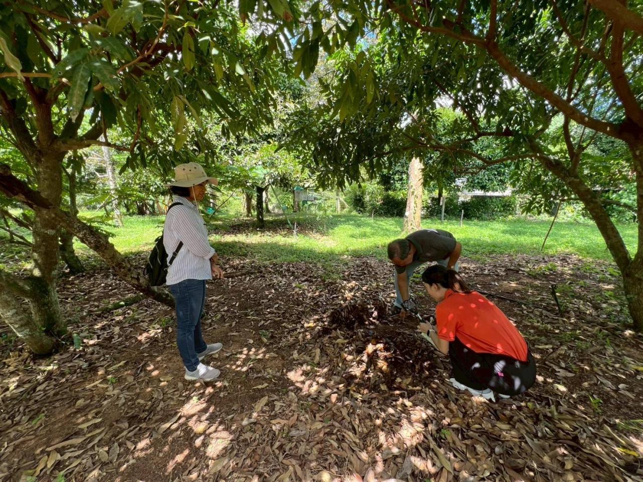 ภาพประกอบที่ 1