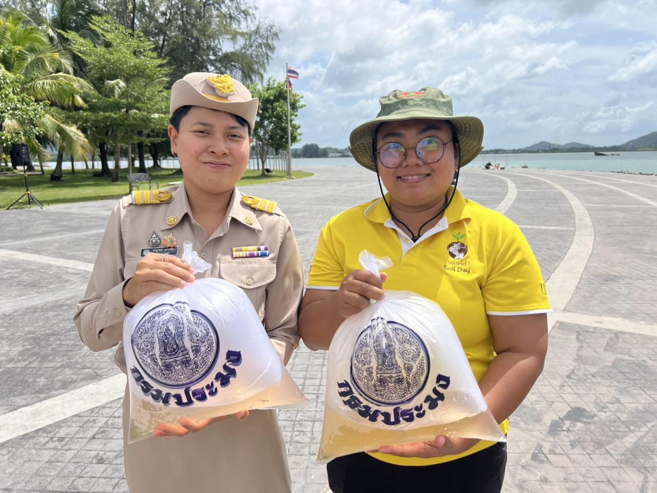 ภาพประกอบที่ 8