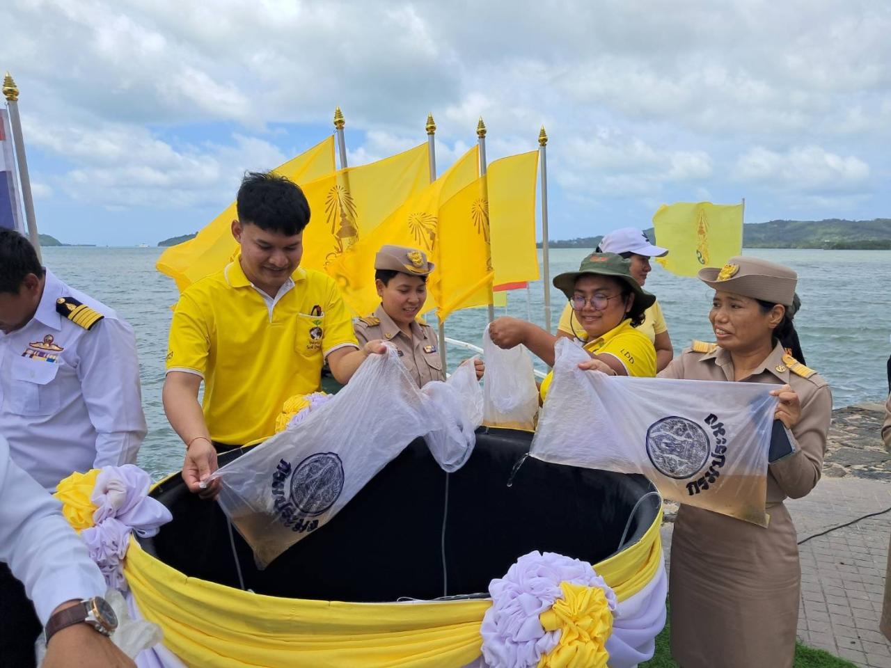 ภาพประกอบที่ 9