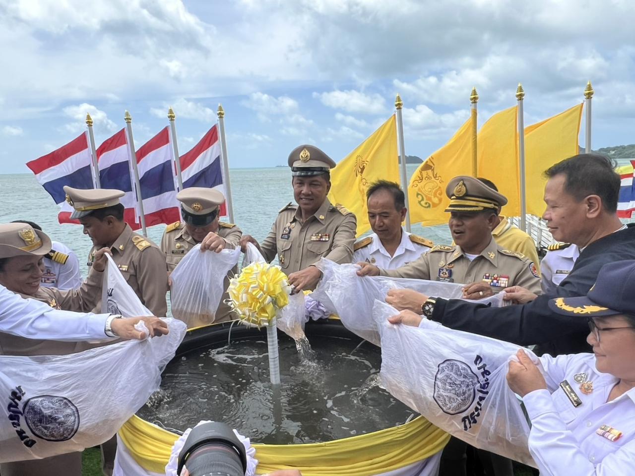 ภาพประกอบที่ 10