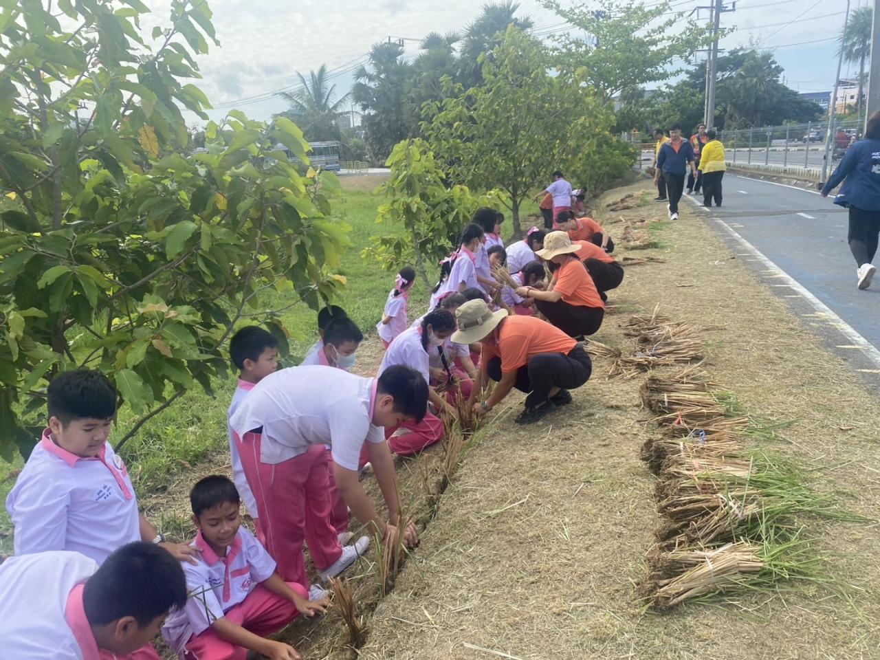 ภาพประกอบที่ 3