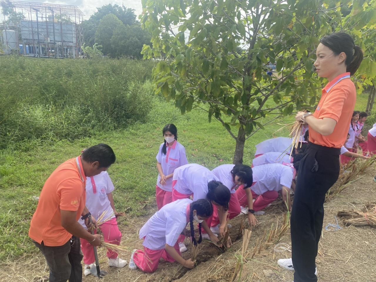 ภาพประกอบที่ 8