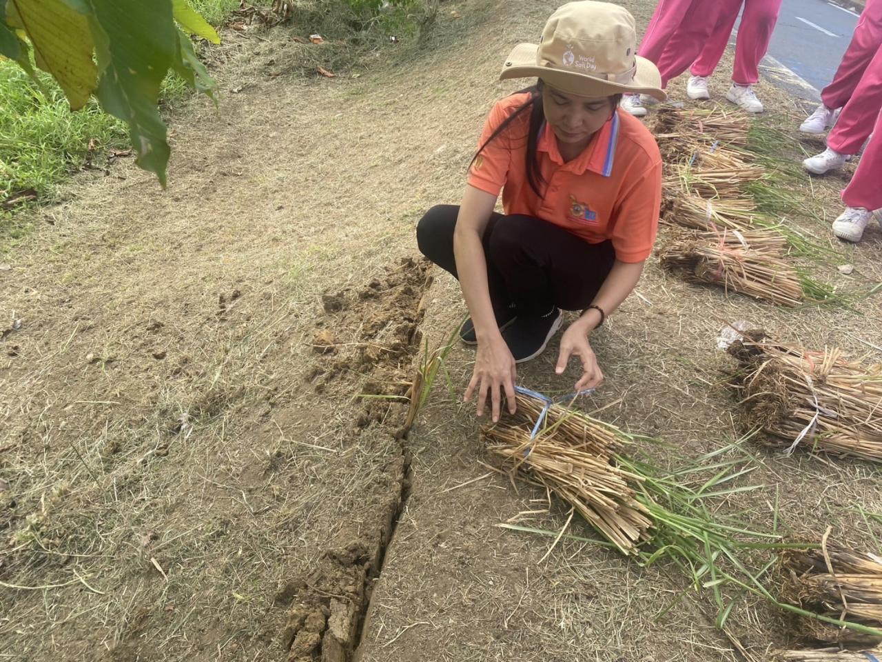 ภาพประกอบที่ 11
