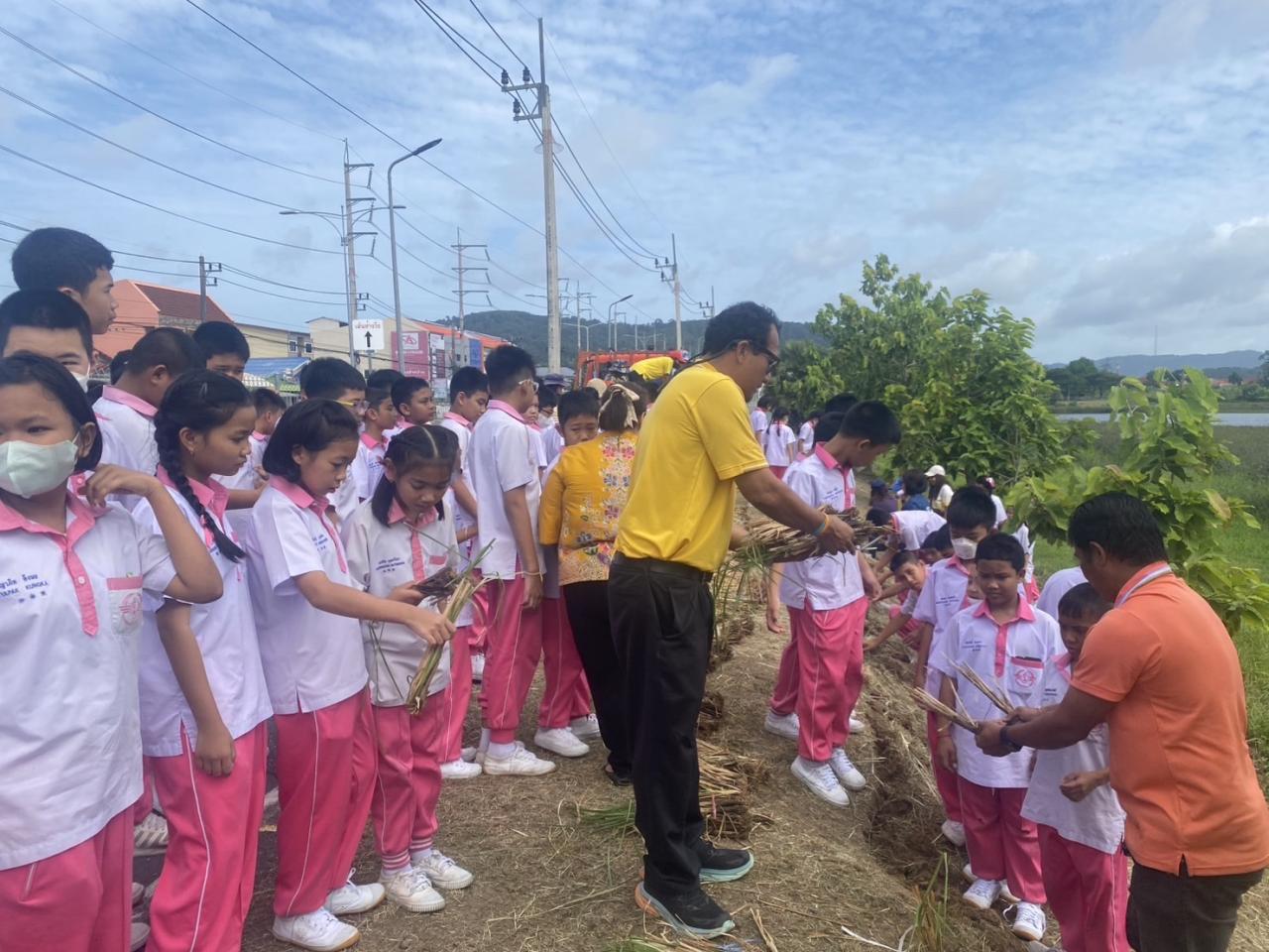 ภาพประกอบที่ 12