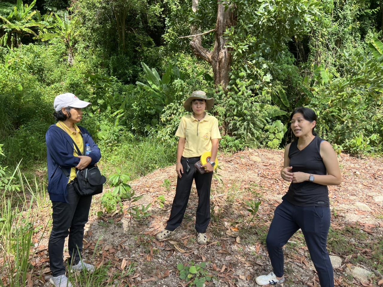 ภาพประกอบที่ 0