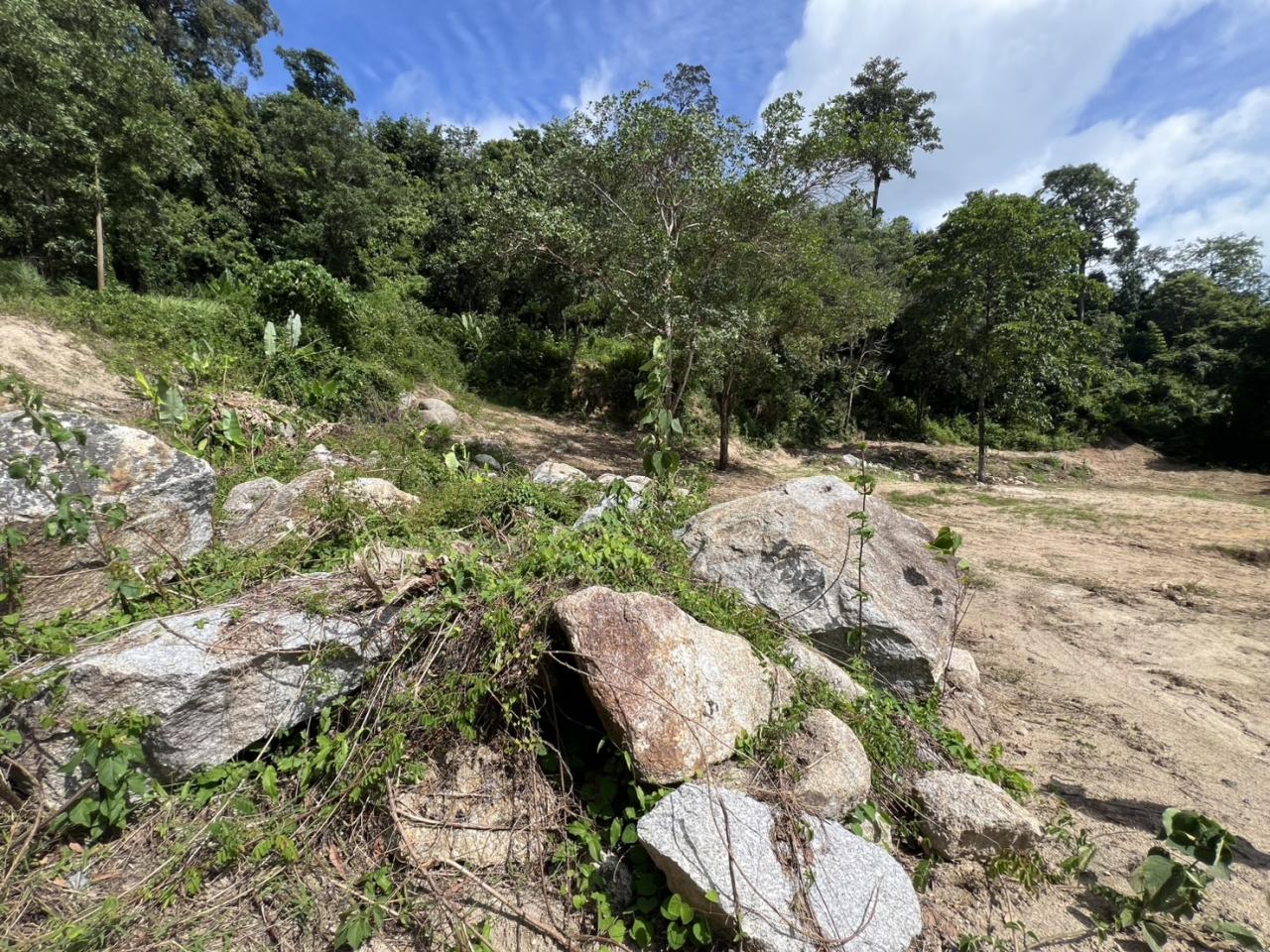 ภาพประกอบที่ 7