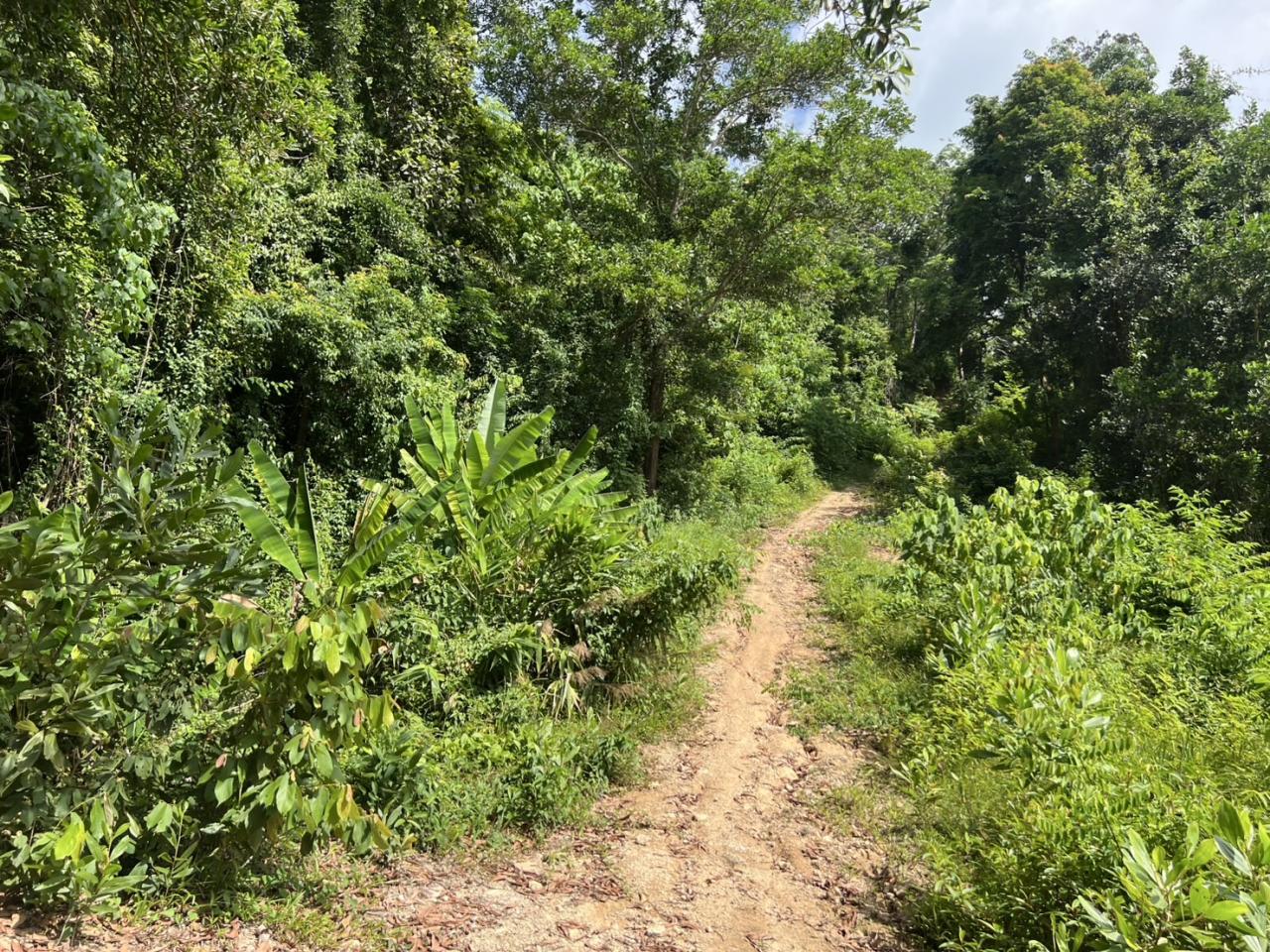 ภาพประกอบที่ 8