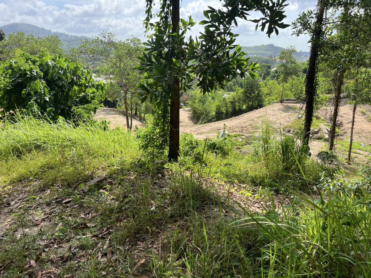 ภาพประกอบที่ 9