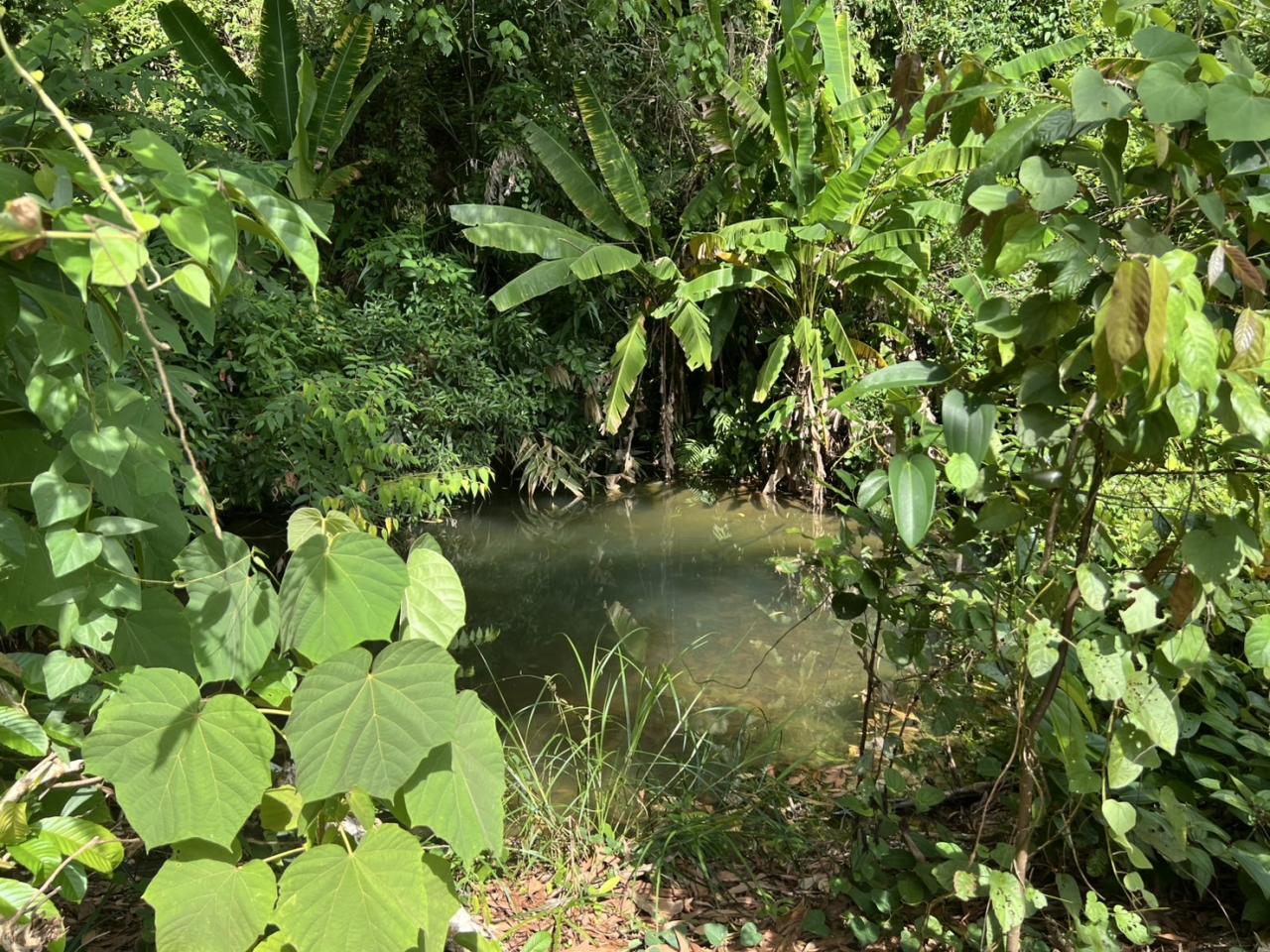 ภาพประกอบที่ 10