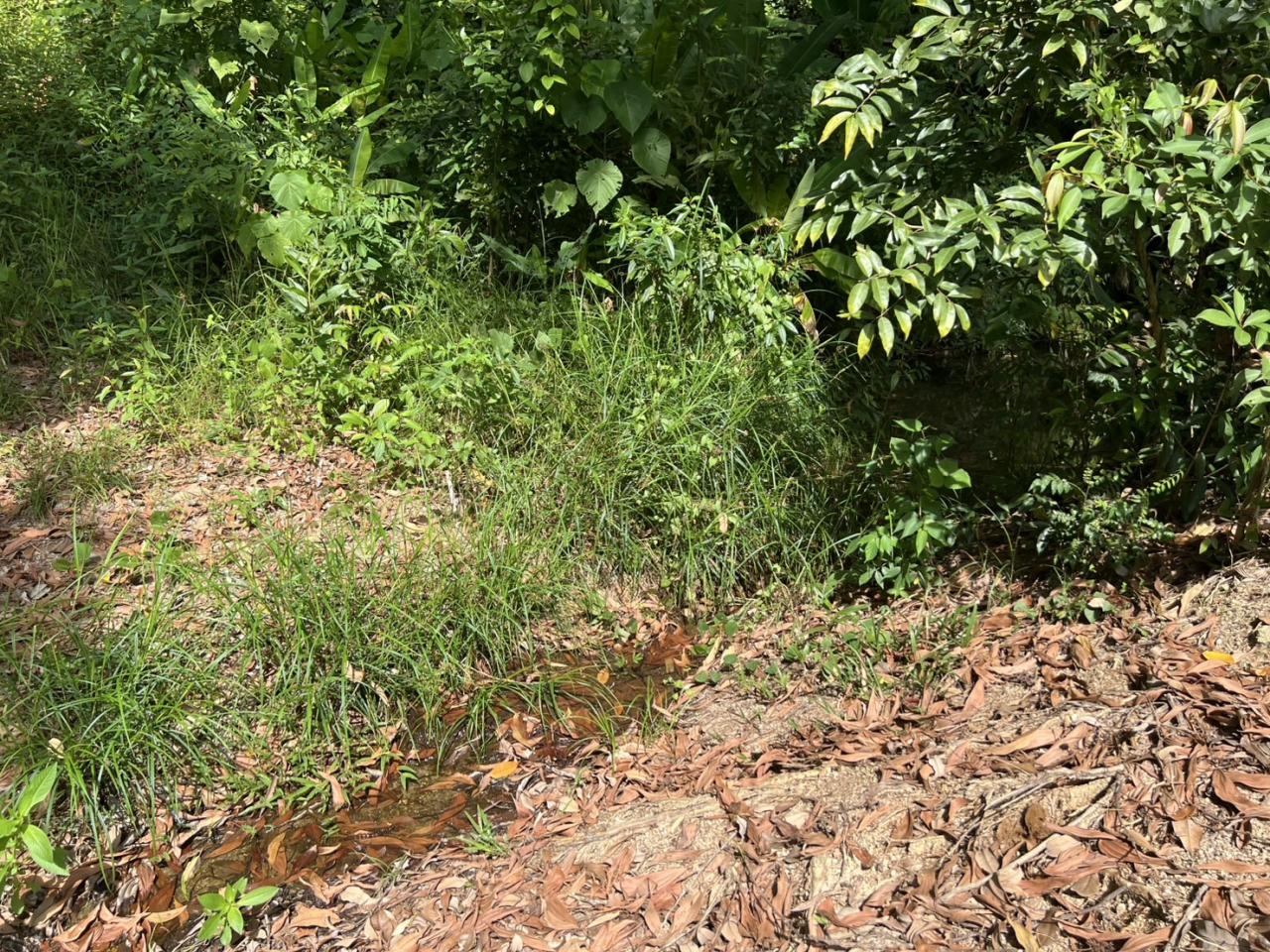 ภาพประกอบที่ 11