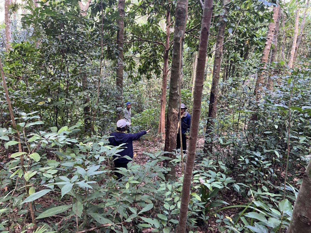 ภาพประกอบที่ 0