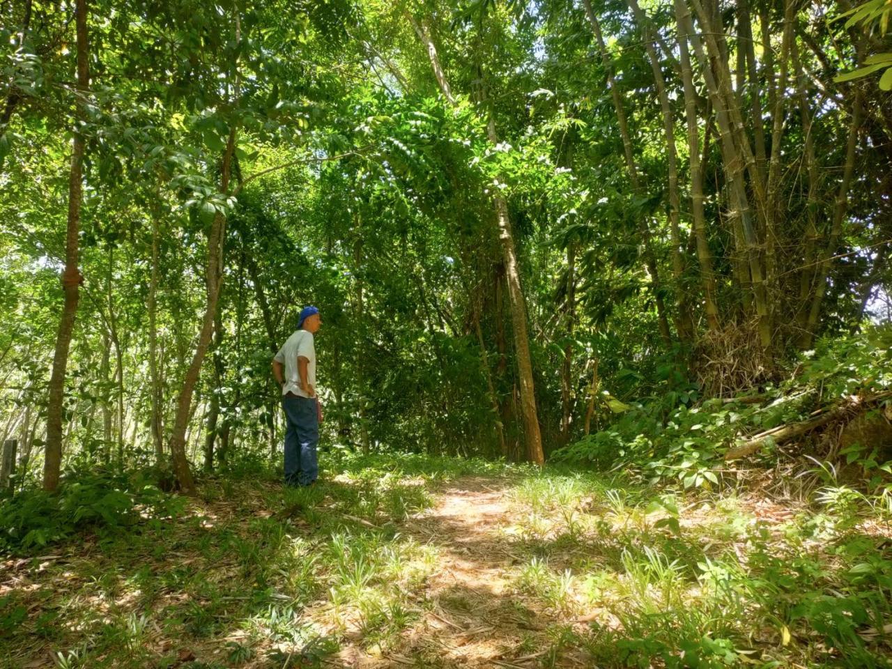 ภาพประกอบที่ 3