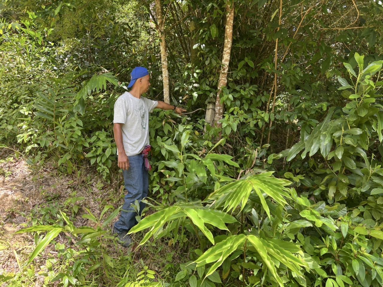 ภาพประกอบที่ 6