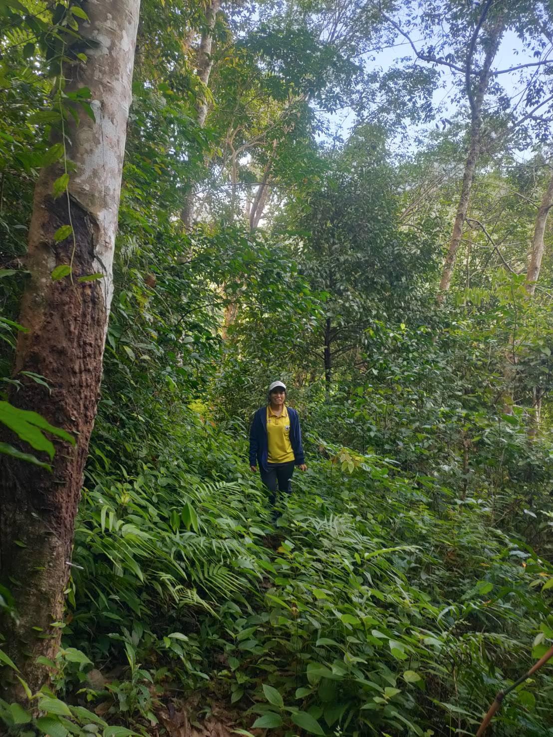 ภาพประกอบที่ 7