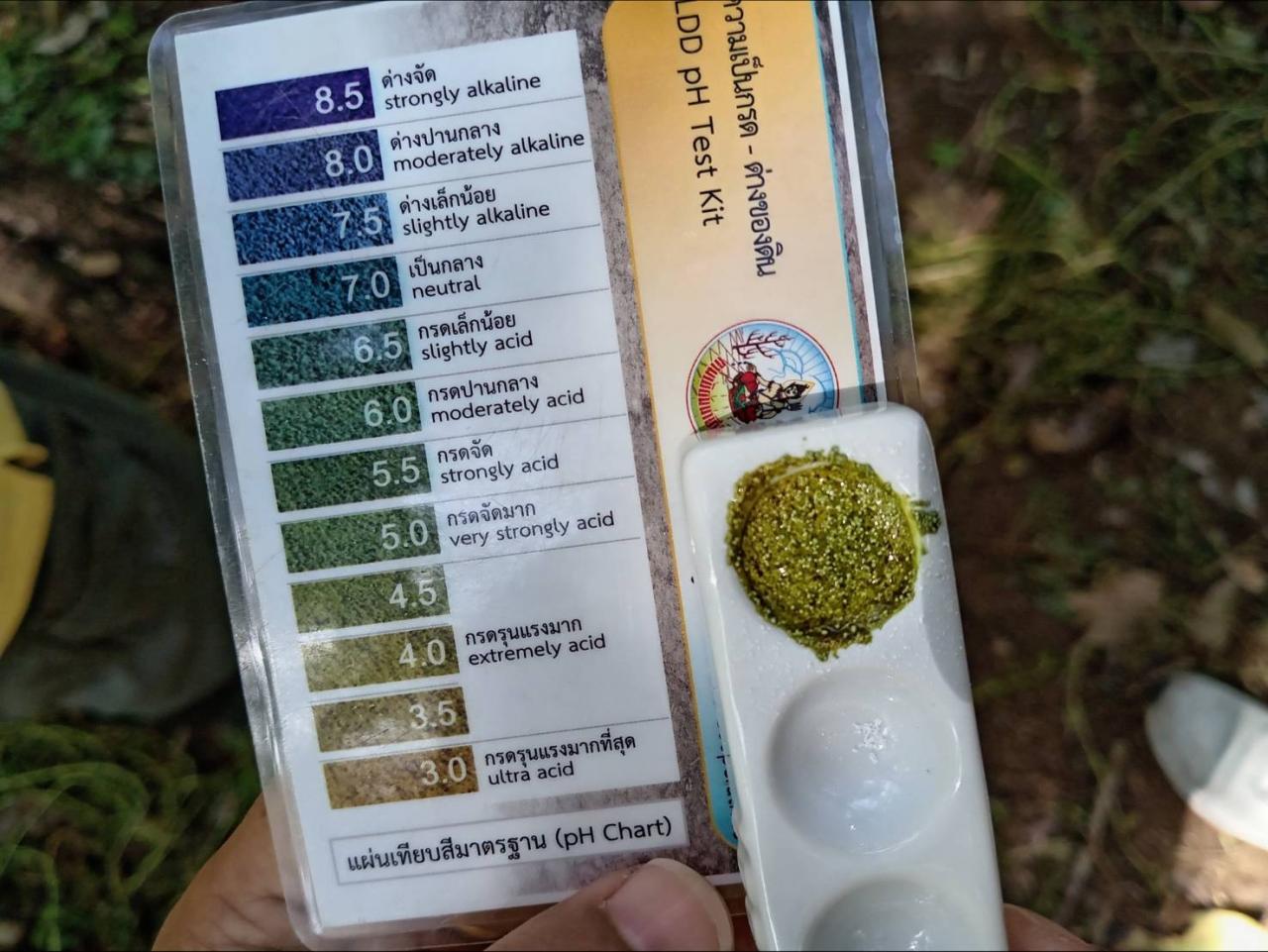 ภาพประกอบที่ 1