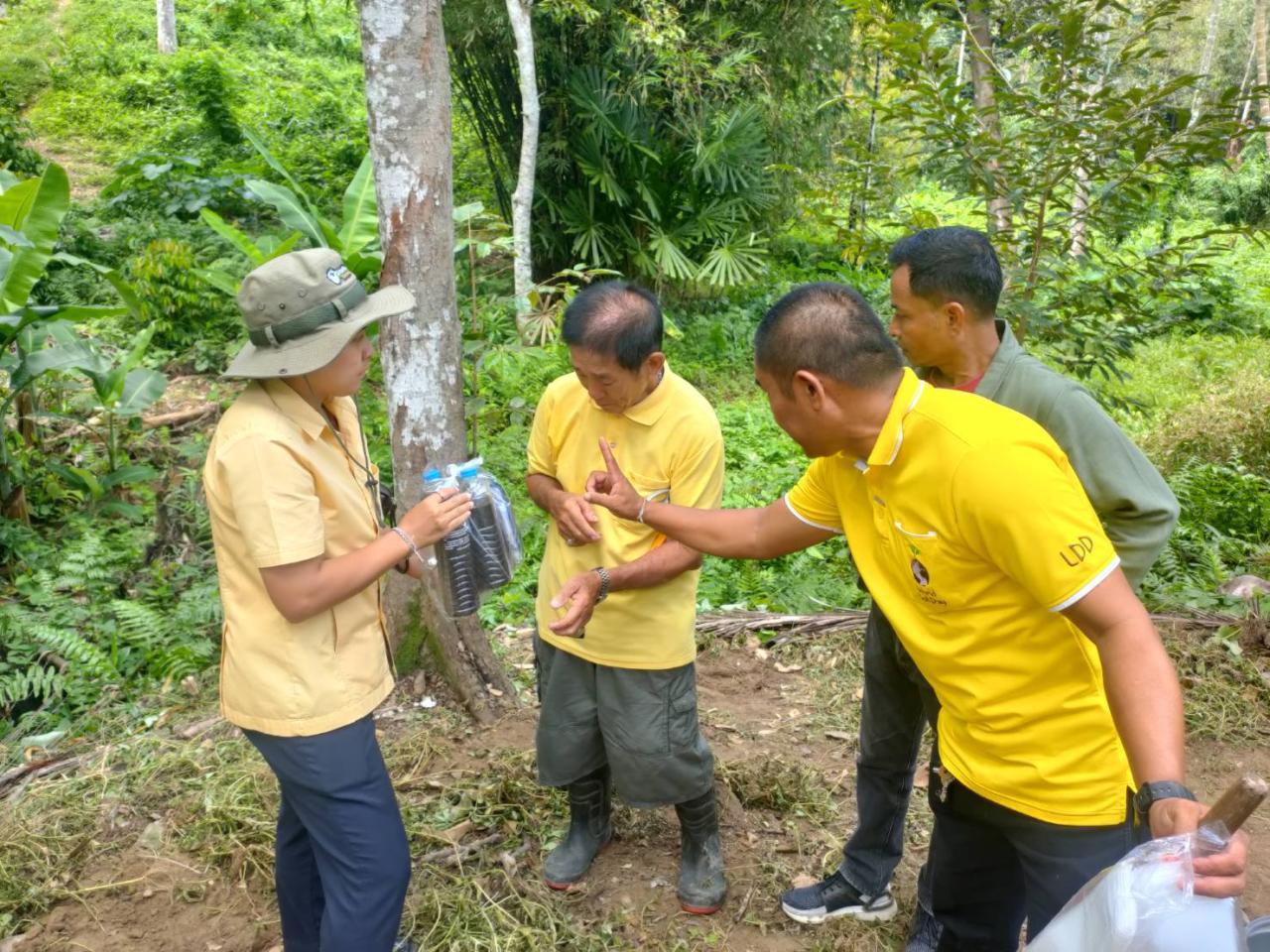 ภาพประกอบที่ 4