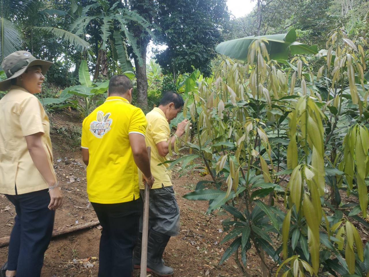 ภาพประกอบที่ 6