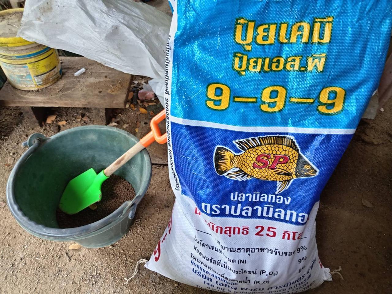 ภาพประกอบที่ 7