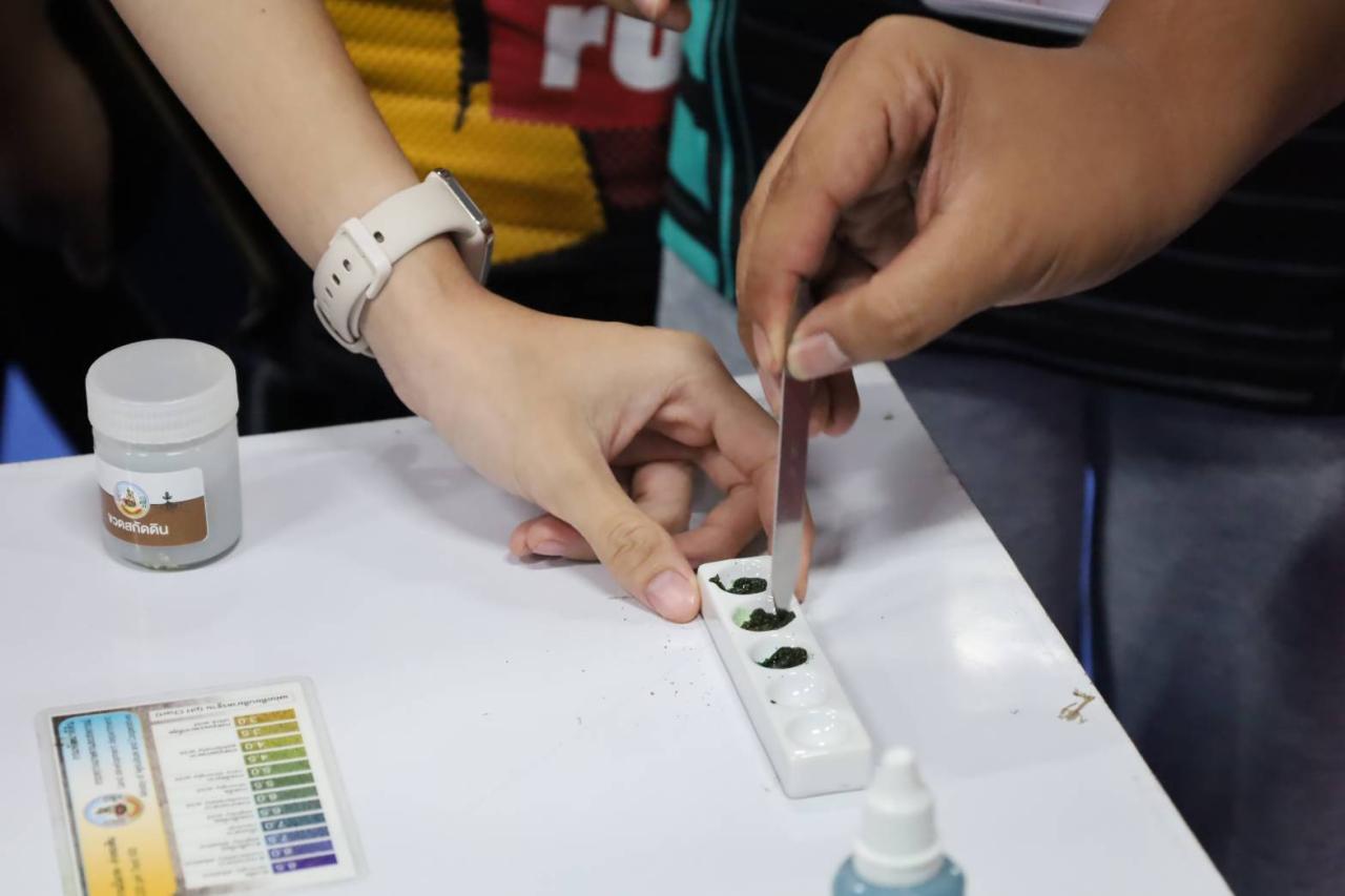 ภาพประกอบที่ 3