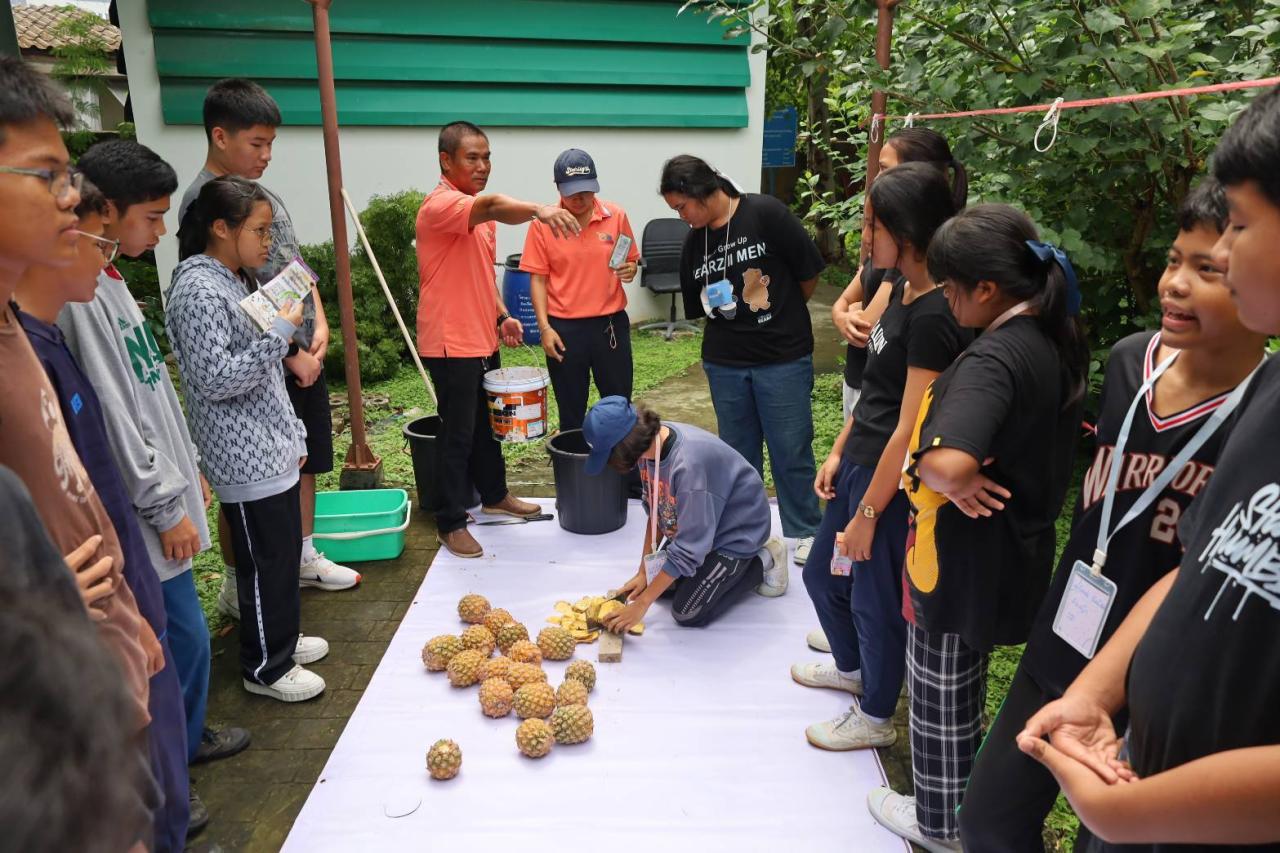 ภาพประกอบที่ 4