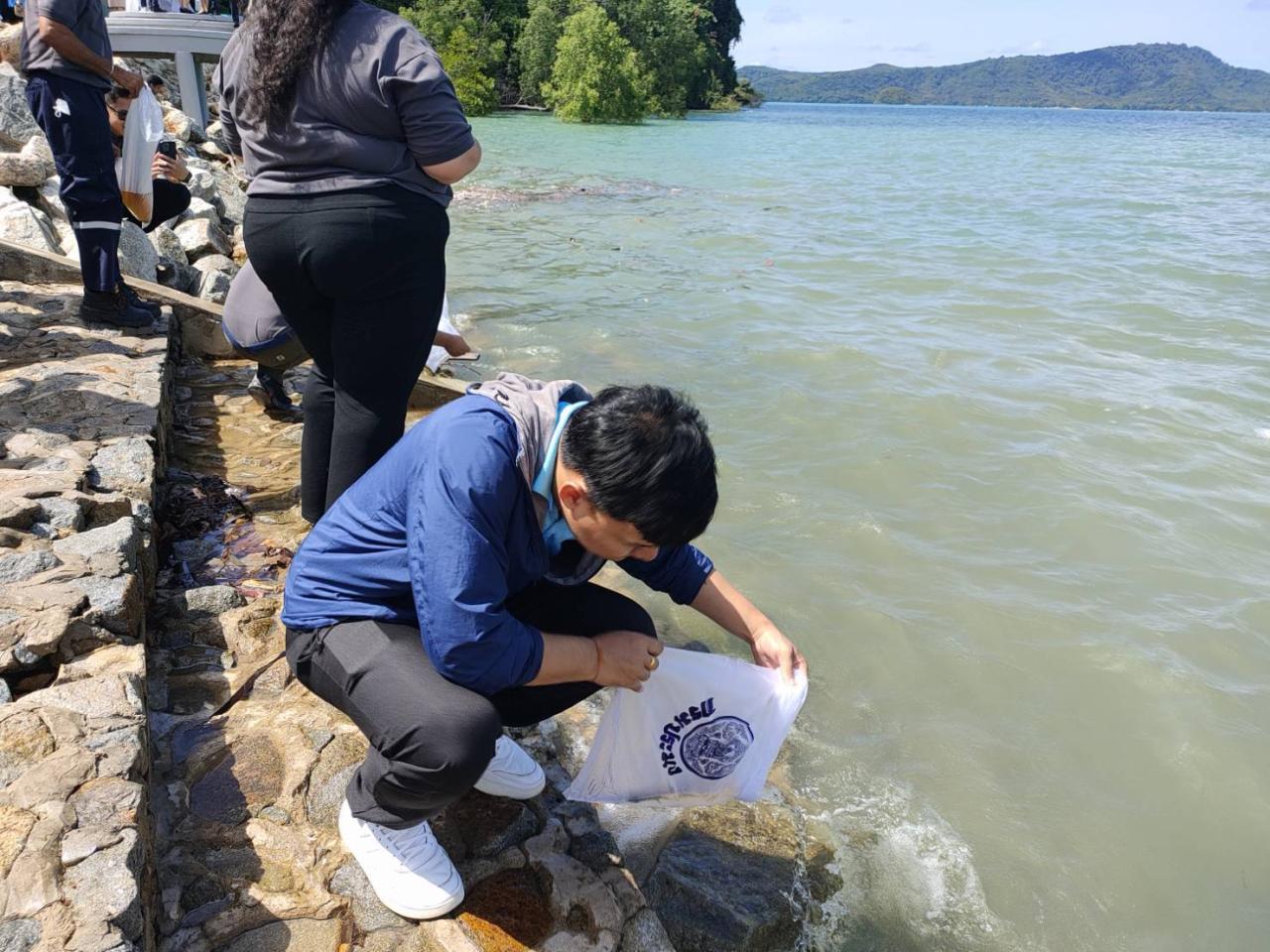 ภาพประกอบที่ 4