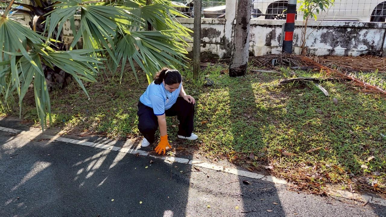 ภาพประกอบที่ 6