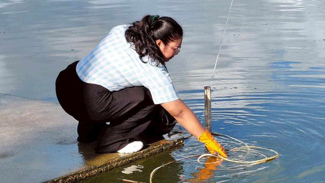 ภาพประกอบที่ 8