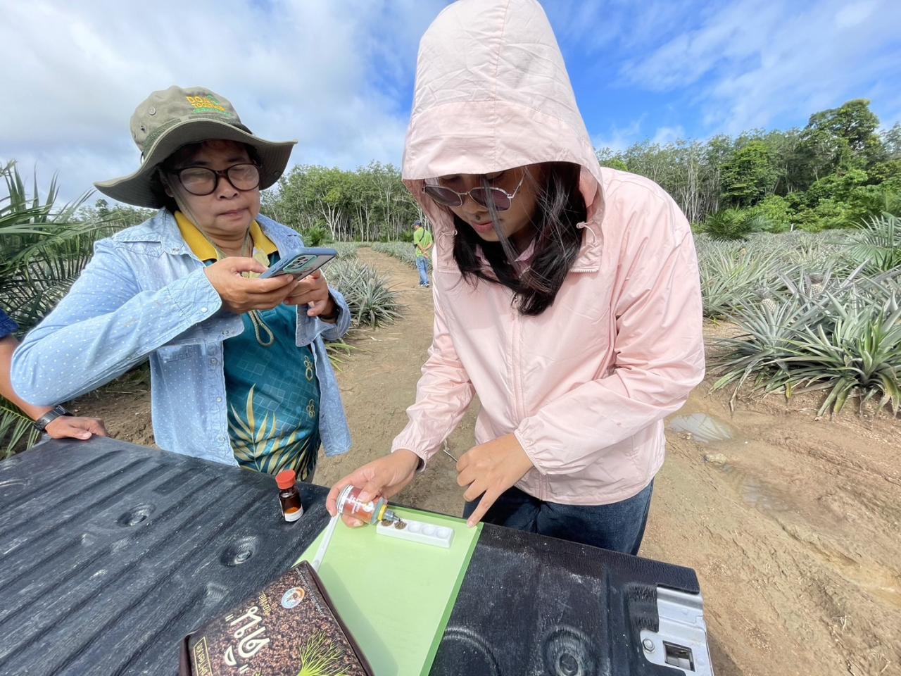 ภาพประกอบที่ 0