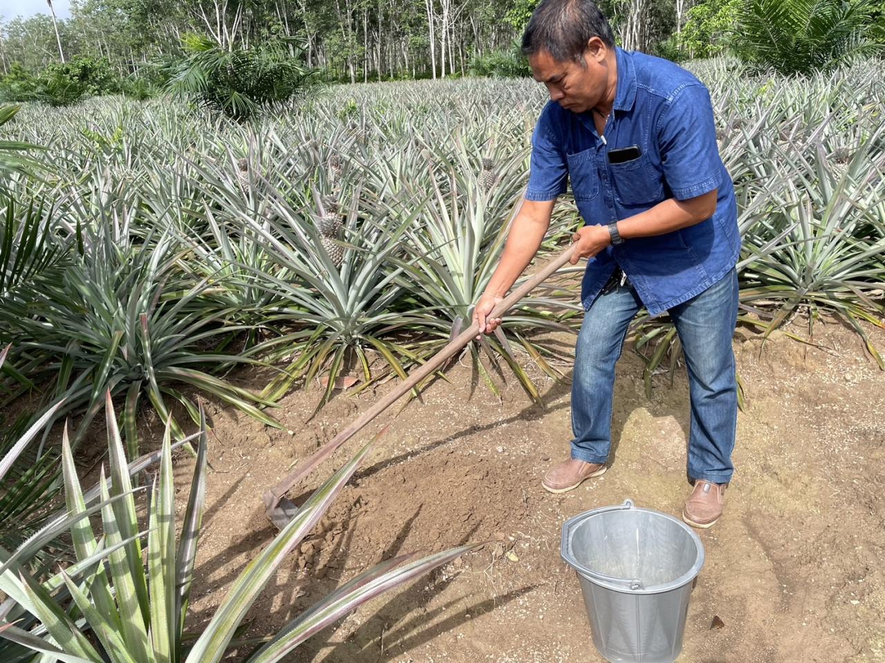 ภาพประกอบที่ 1