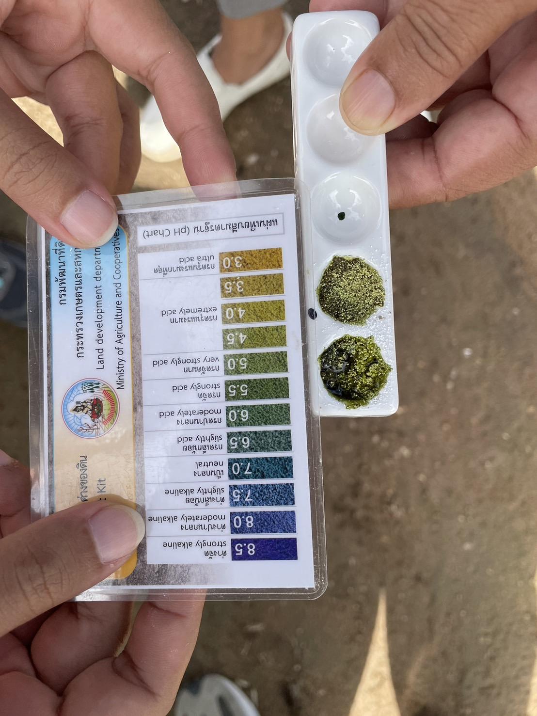 ภาพประกอบที่ 6