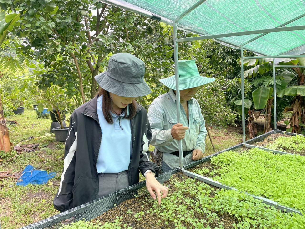 ภาพประกอบที่ 4