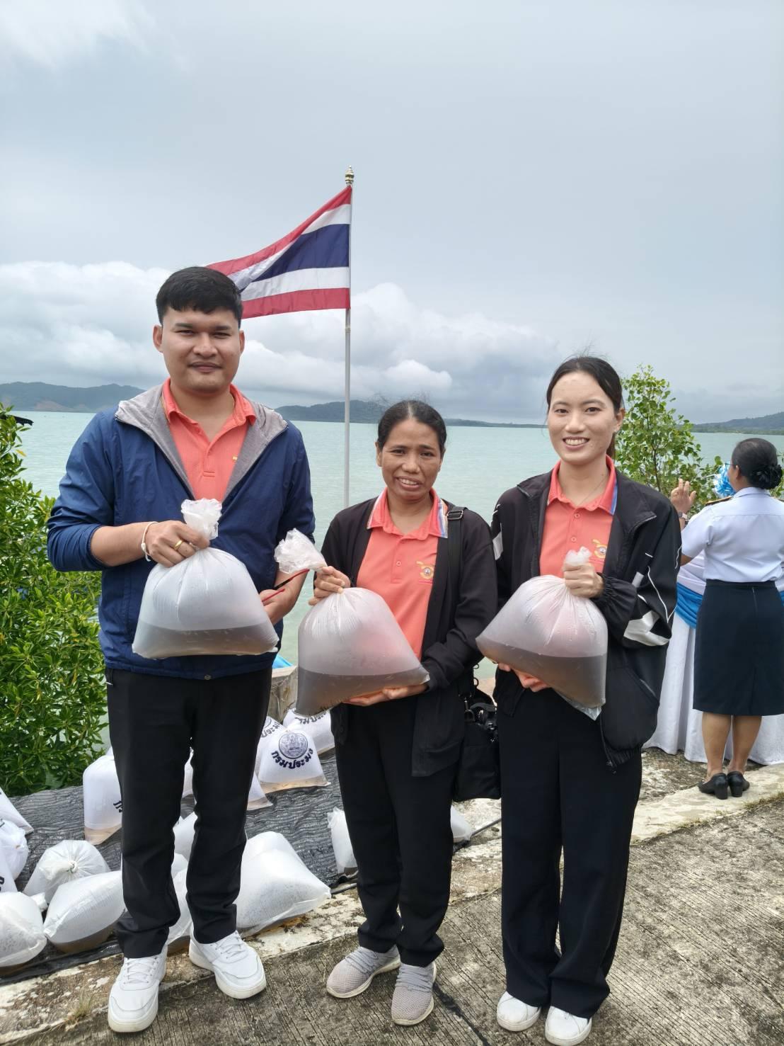 ภาพประกอบที่ 3