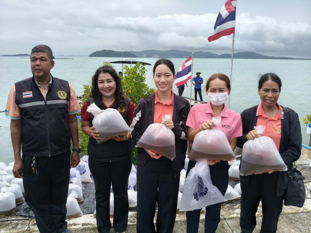 ภาพประกอบที่ 4