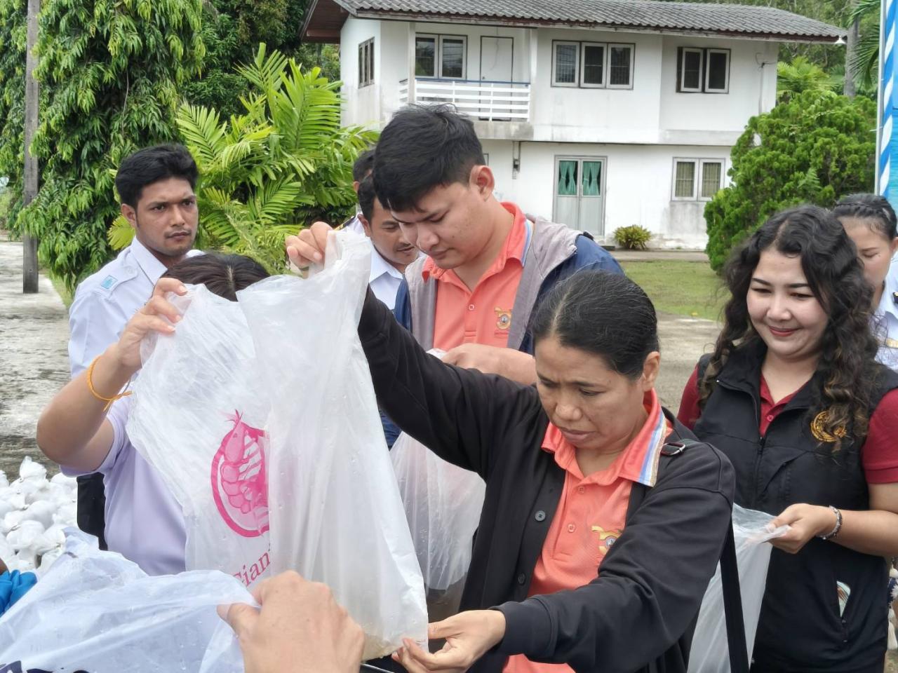 ภาพประกอบที่ 5