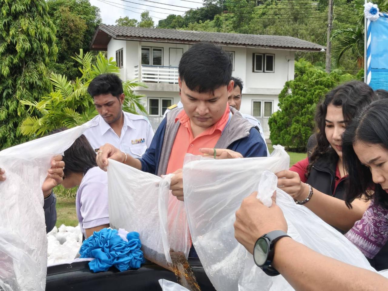 ภาพประกอบที่ 6