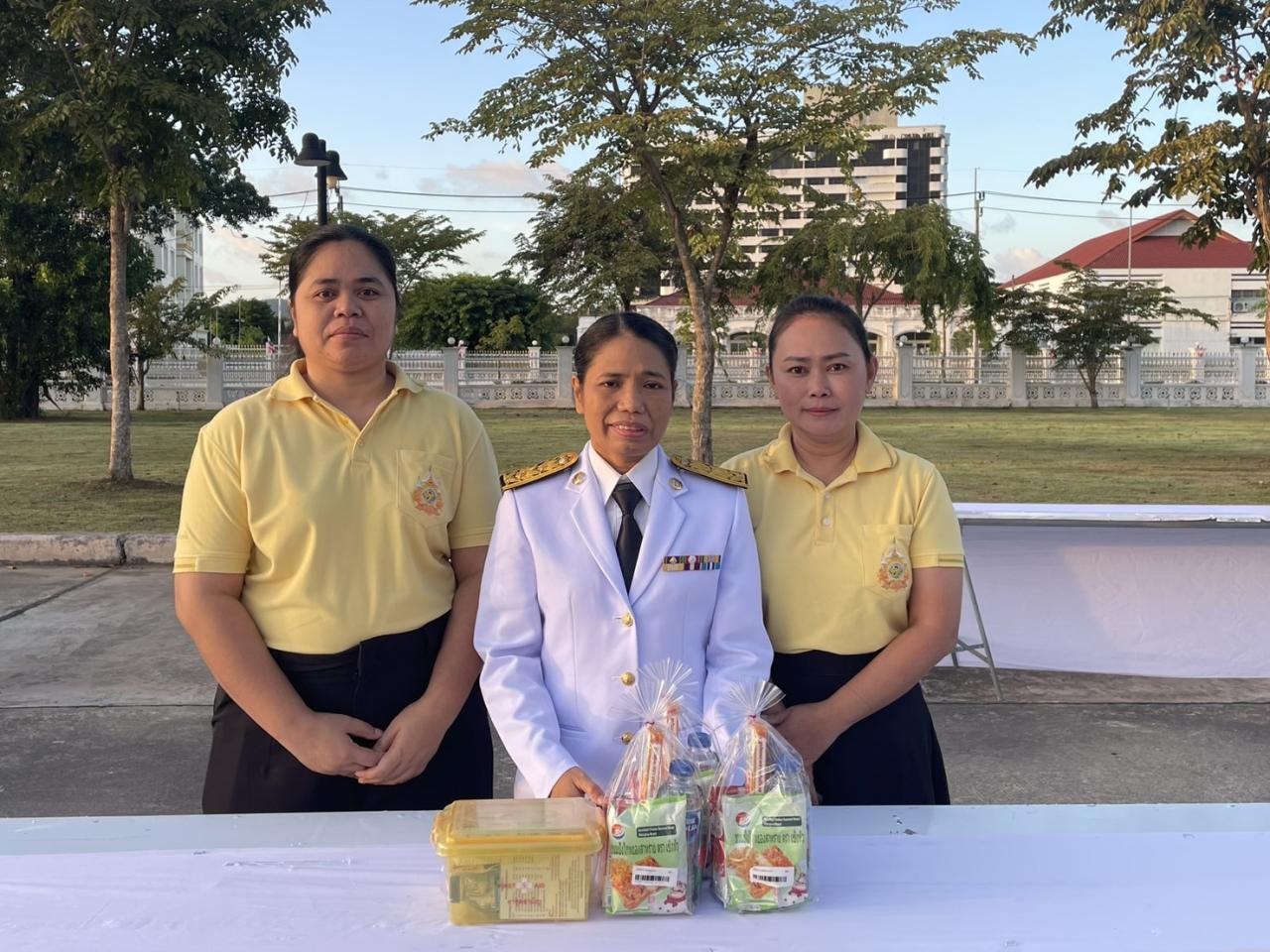 ภาพประกอบที่ 11