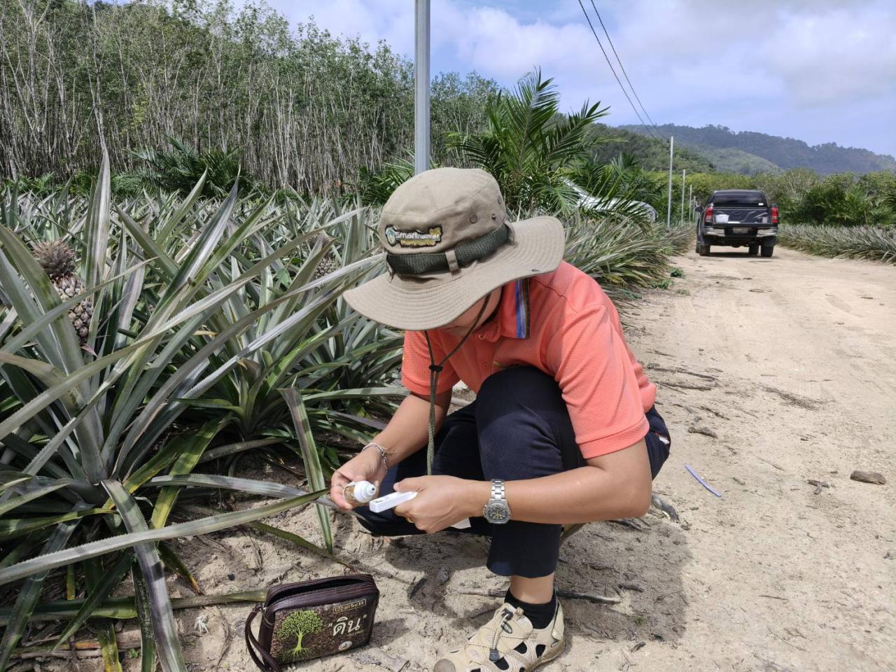 ภาพประกอบที่ 0