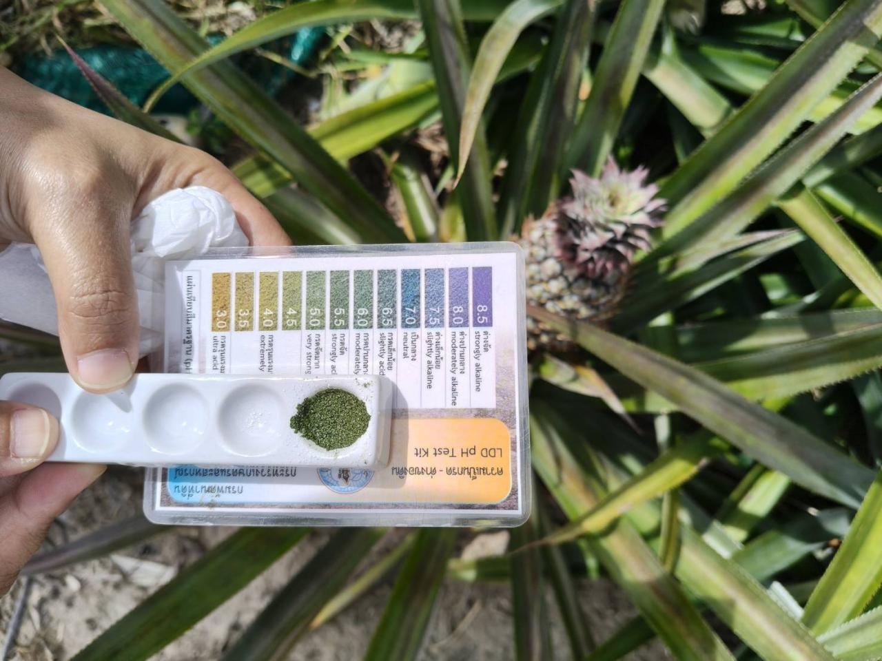 ภาพประกอบที่ 1