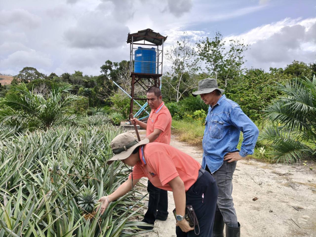 ภาพประกอบที่ 4