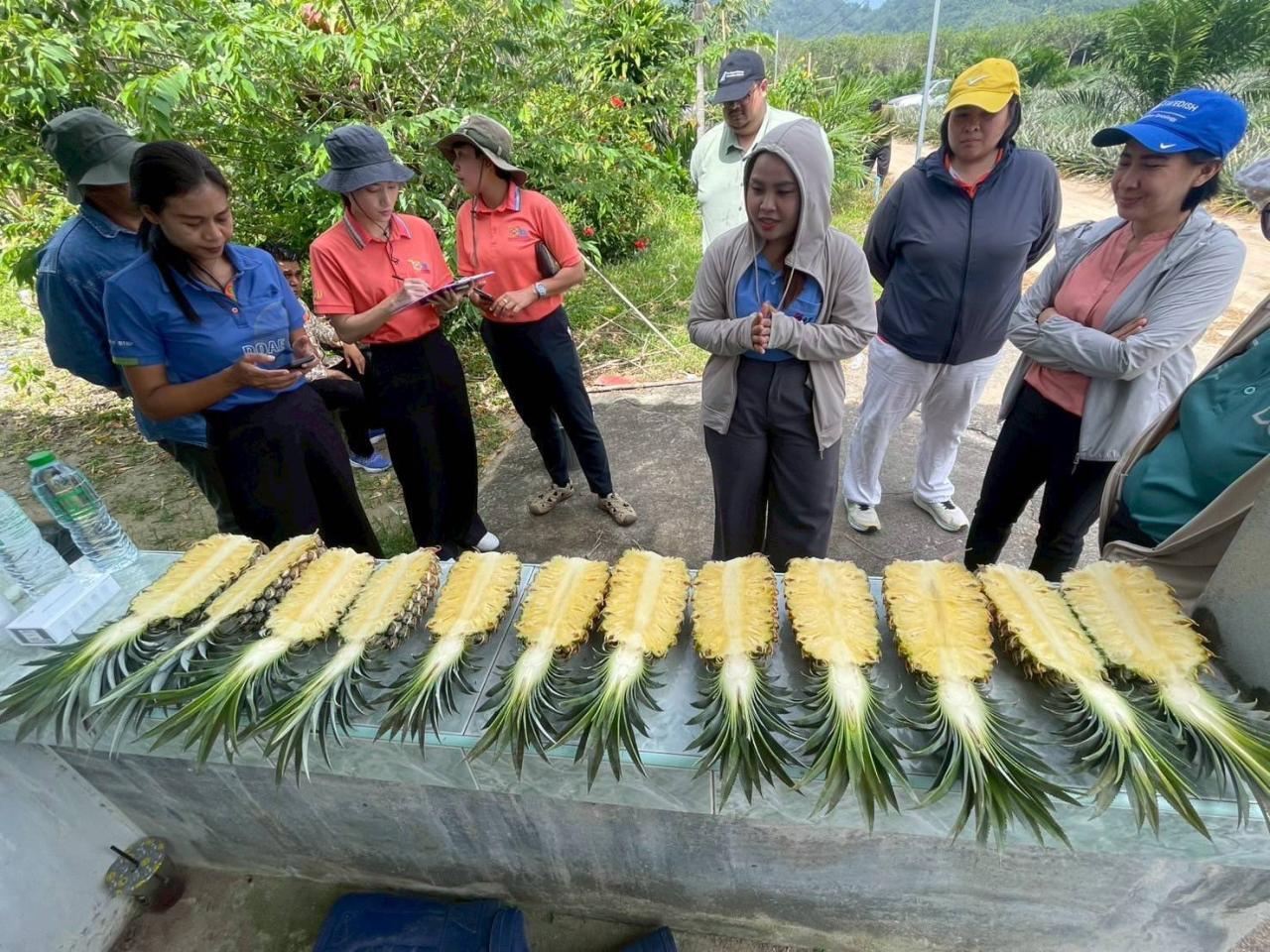 ภาพประกอบที่ 5