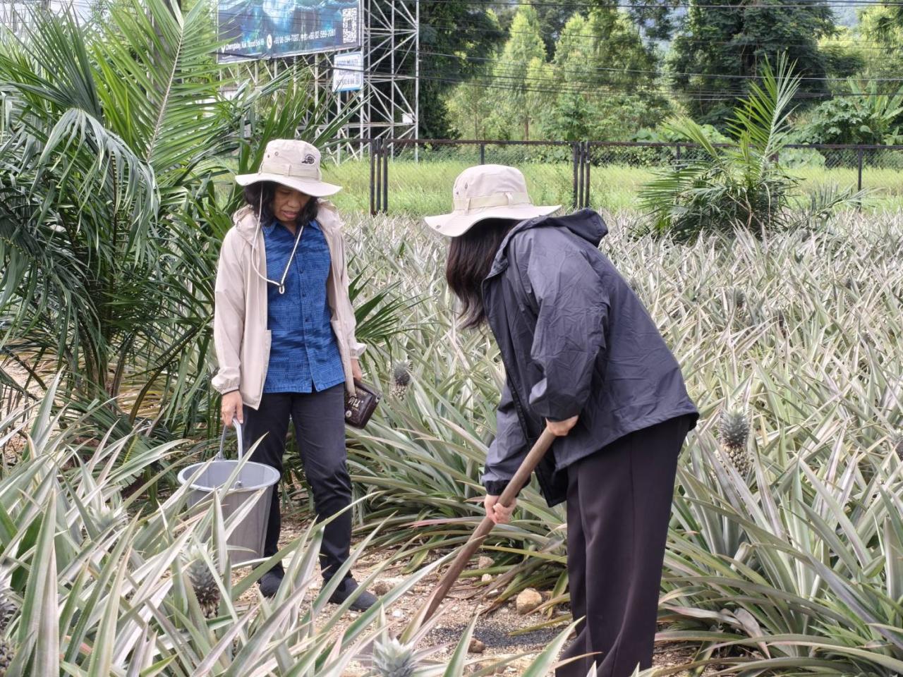 ภาพประกอบที่ 1